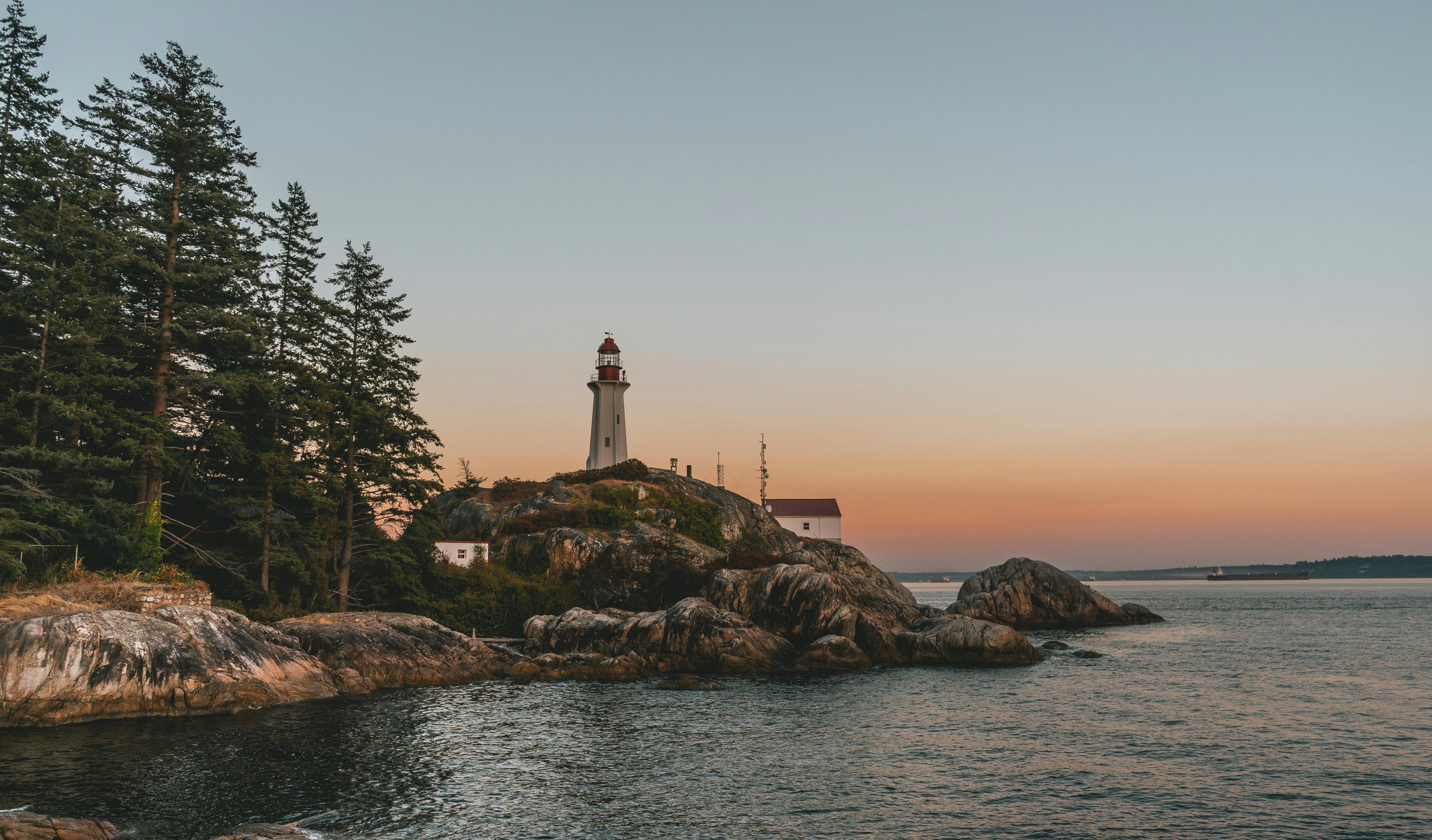 Misty West Coast forest